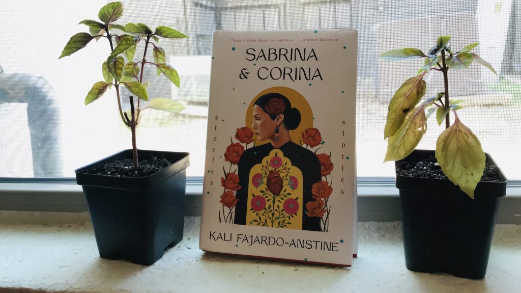 “Sabrina and Corina” is as powerful as literary fiction gets